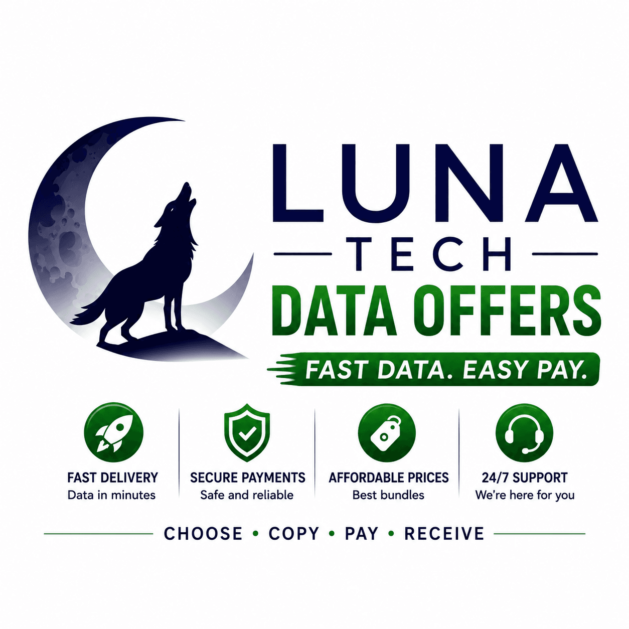 Luna Data offers
